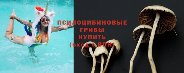 mdpv Нязепетровск